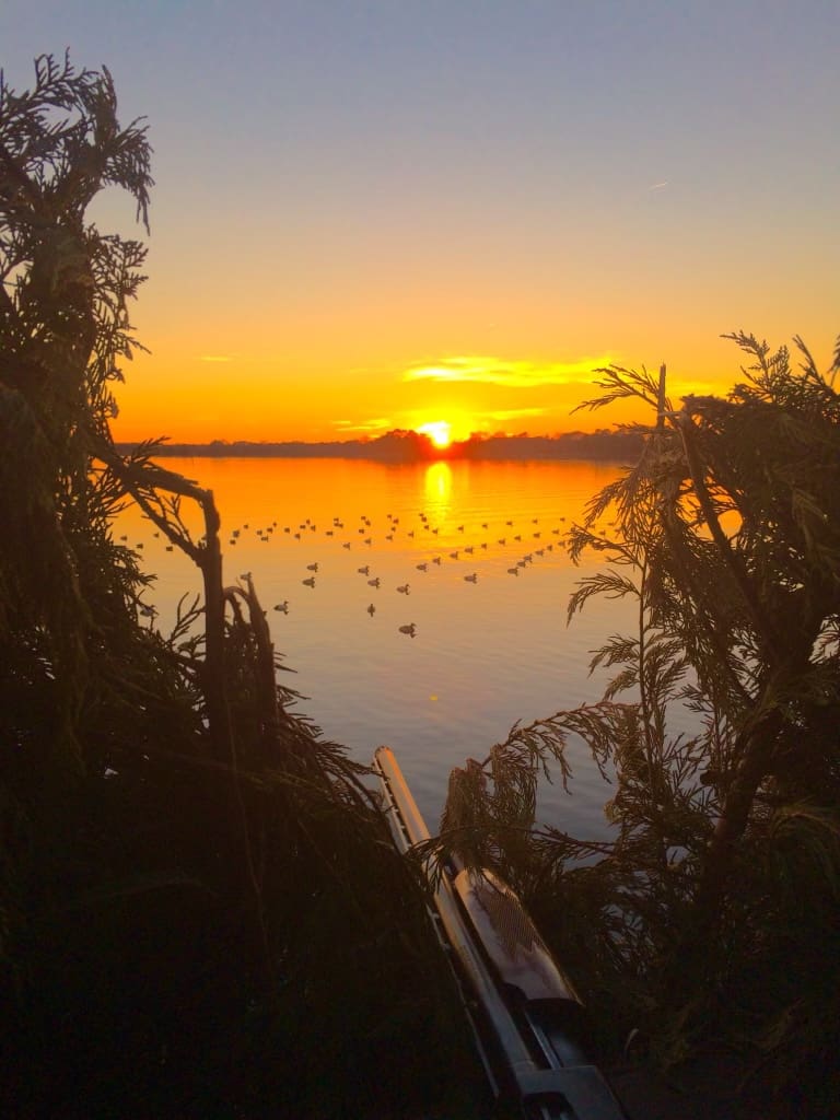 A sunset over the water with birds flying in it.