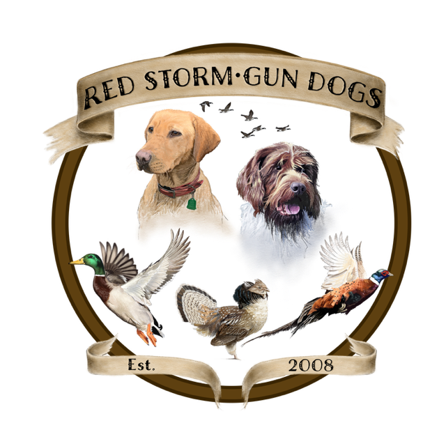 Red Storm Gun Dogs logo with Started gun dogs.